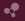network_icon